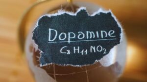 Serotonina e Dopamina: Como Aumentar os Neurotransmissores do Bem-Estar